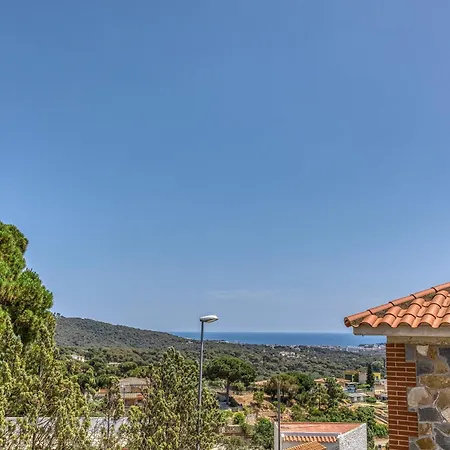 Tatil Evi Olive